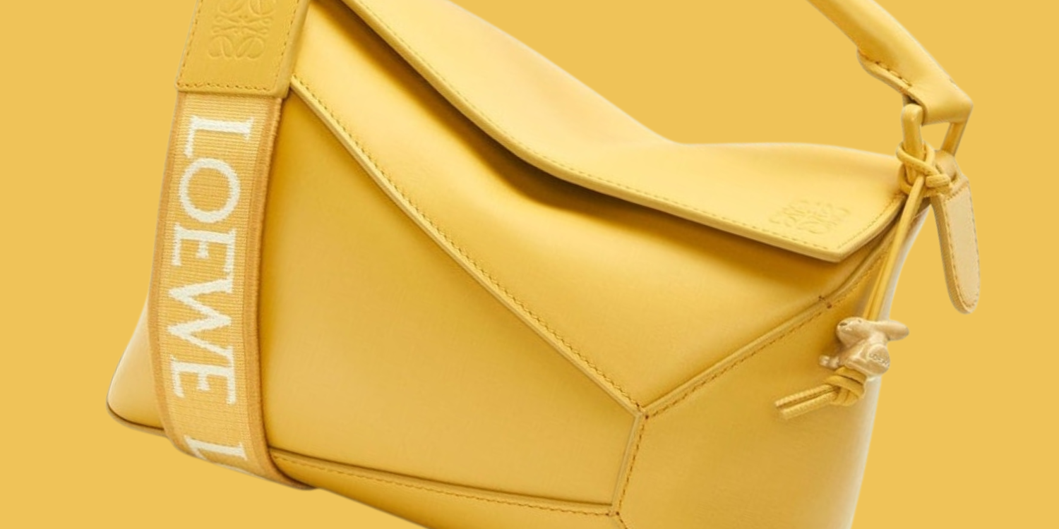 image of loewe luxury handbag