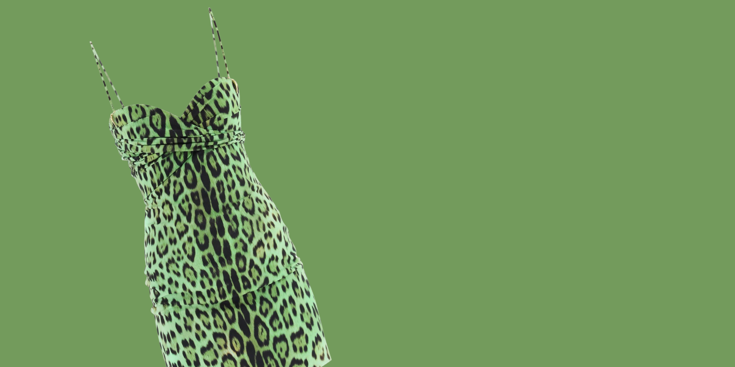 image of roberto cavalli jaguar dress