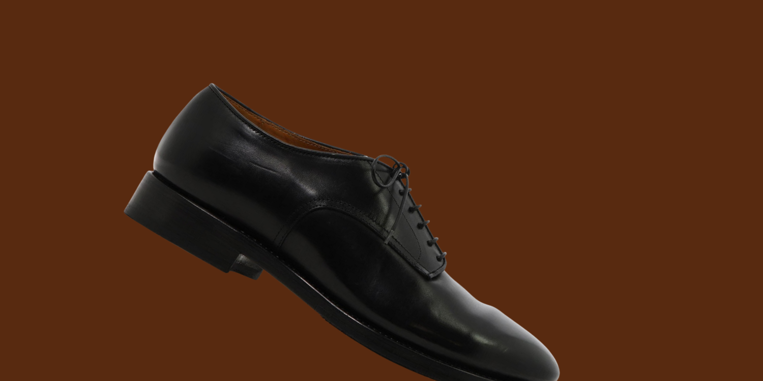image of alberto fasciani caleb shoes