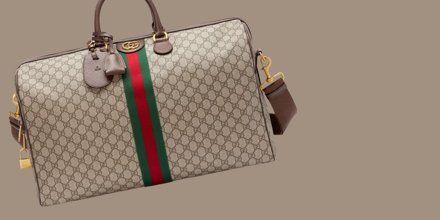 image of gucci ophidia bag